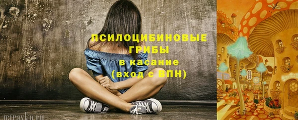 стаф Богородицк