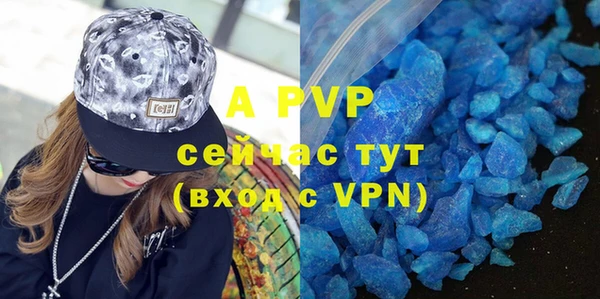 прущие крисы Богданович