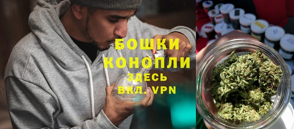 крисы Богородск