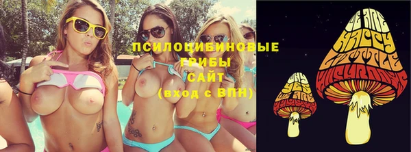 стаф Богородицк